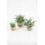  Plantes d'eucalyptus artificiels en pots tissés - Faux verdure décorative, ensemble de trois