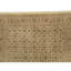 Oriental Area Rug in Beige/Gray