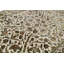 Hand Woven Silk and Wool Oriental Area Rug