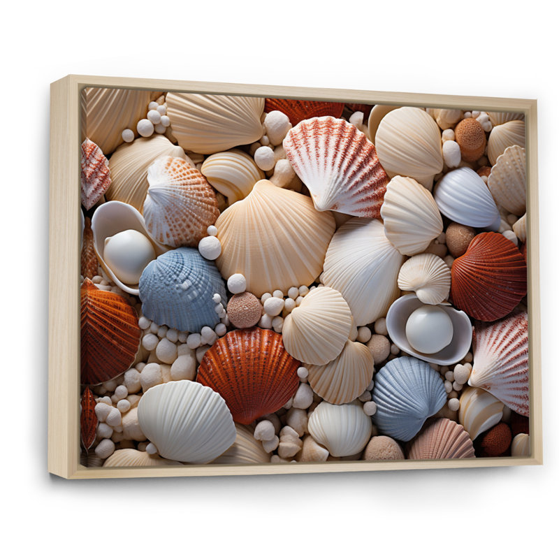 «Beach Photo Seashell Symphony III», reproduction d'art sur toile, Brun, H 24 po x l 32 po x P 1 po