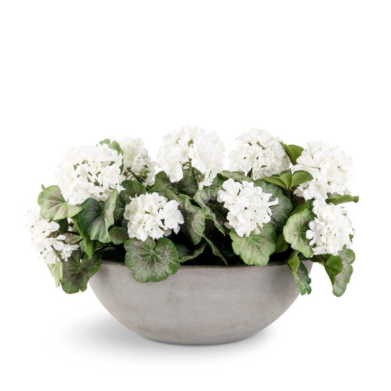 Arrangement d'hortensias Boule de Neige Félice
