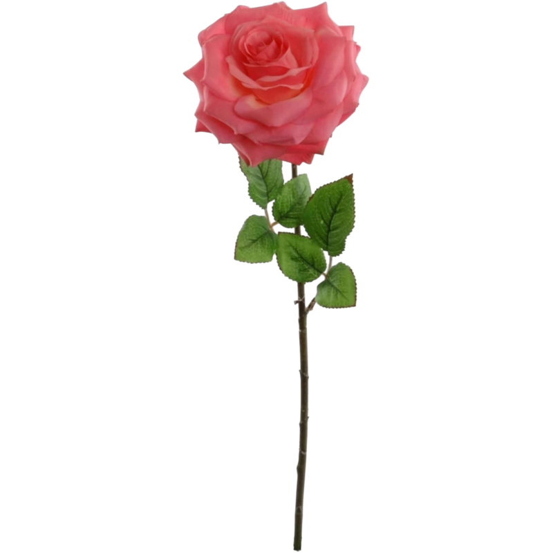 20" Open Rose Stem - 6 Pack