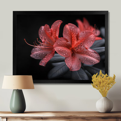 Rose, noir, rhododendron, fleur de minuit I - salon d'art mural rhododendron
