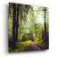 Art mural en verre Millwood Pines «Never the identique encore» par Dirk Wustenhagen-1652750597