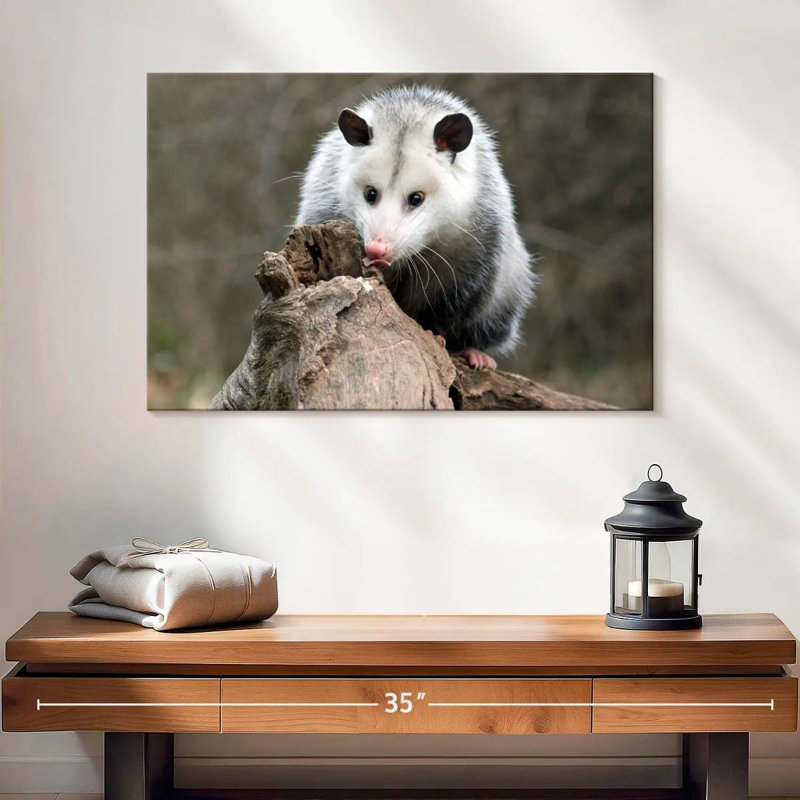 Bramble opossum, H 16 po x l 24 po
