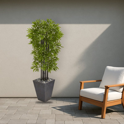 Bamboo Tree in Slate Planter UV Resistant
