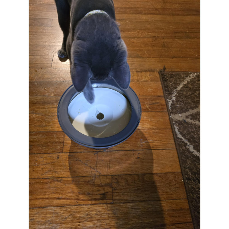 53oz Floating Disk Anti-Spill Dog Water Bowl, Slow Drinking Stainless Steel Water Feeder for Small Dogs