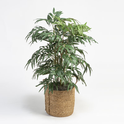 Jardinière ronde 38 po avec panier en rotin naturel Phoenix