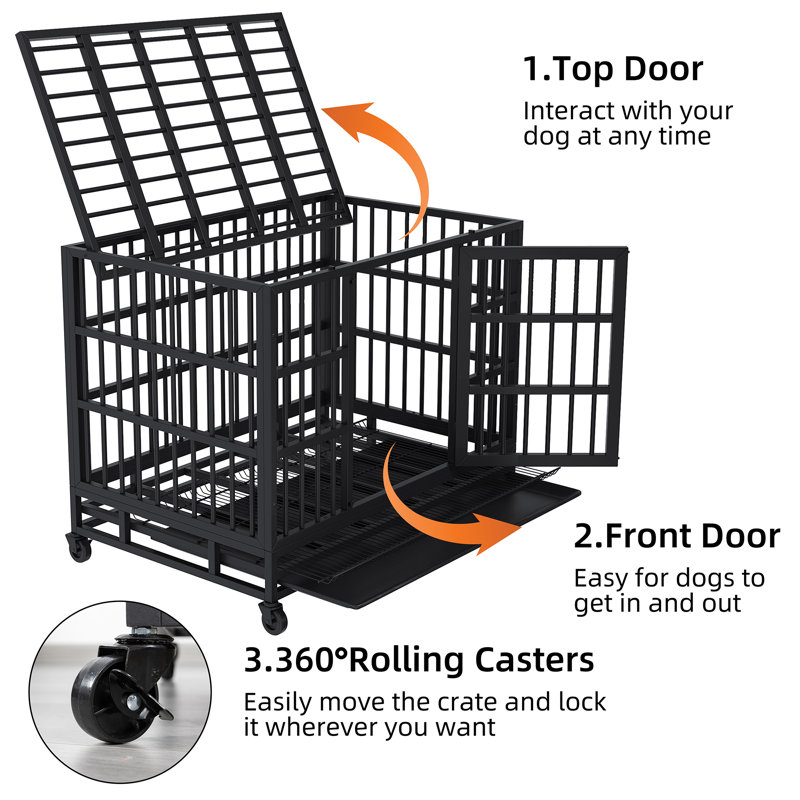 Cage pour chien robuste Stratford, H 35,6 po x l 47,1 po x P 29,9 po