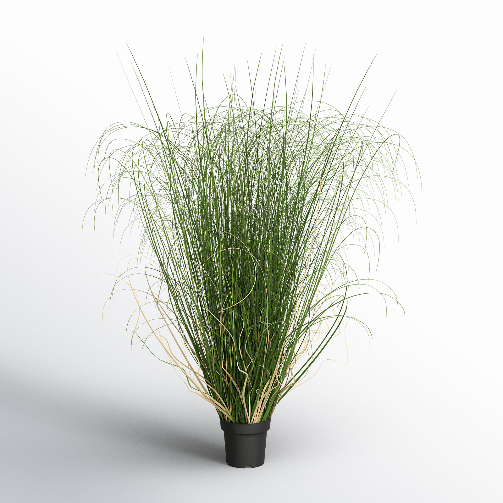 PVC Artificial Potted Green Curled Grass, 60" H x 30" W x 30" D