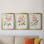 " Grandiflora I " 3 - Pieces-1808341225-1807908246