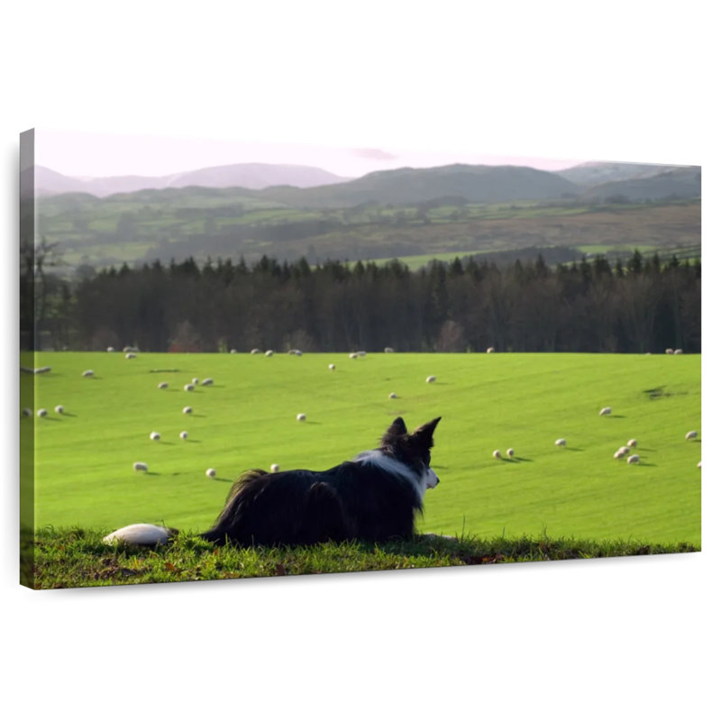 Brampt Dog Counting Sheep, 34" H x 51" W