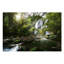 Mountain Stream - Wrapped Canvas Print-279351232-301068199