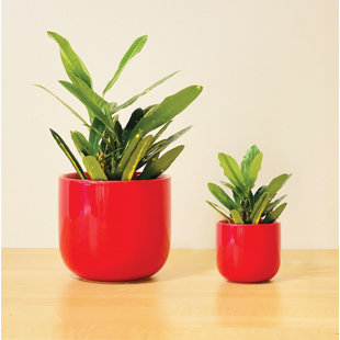 HIGOLD - 12.6 + 10.6 Inch Resin Plant Pot, Round Pot Set of 2 - On