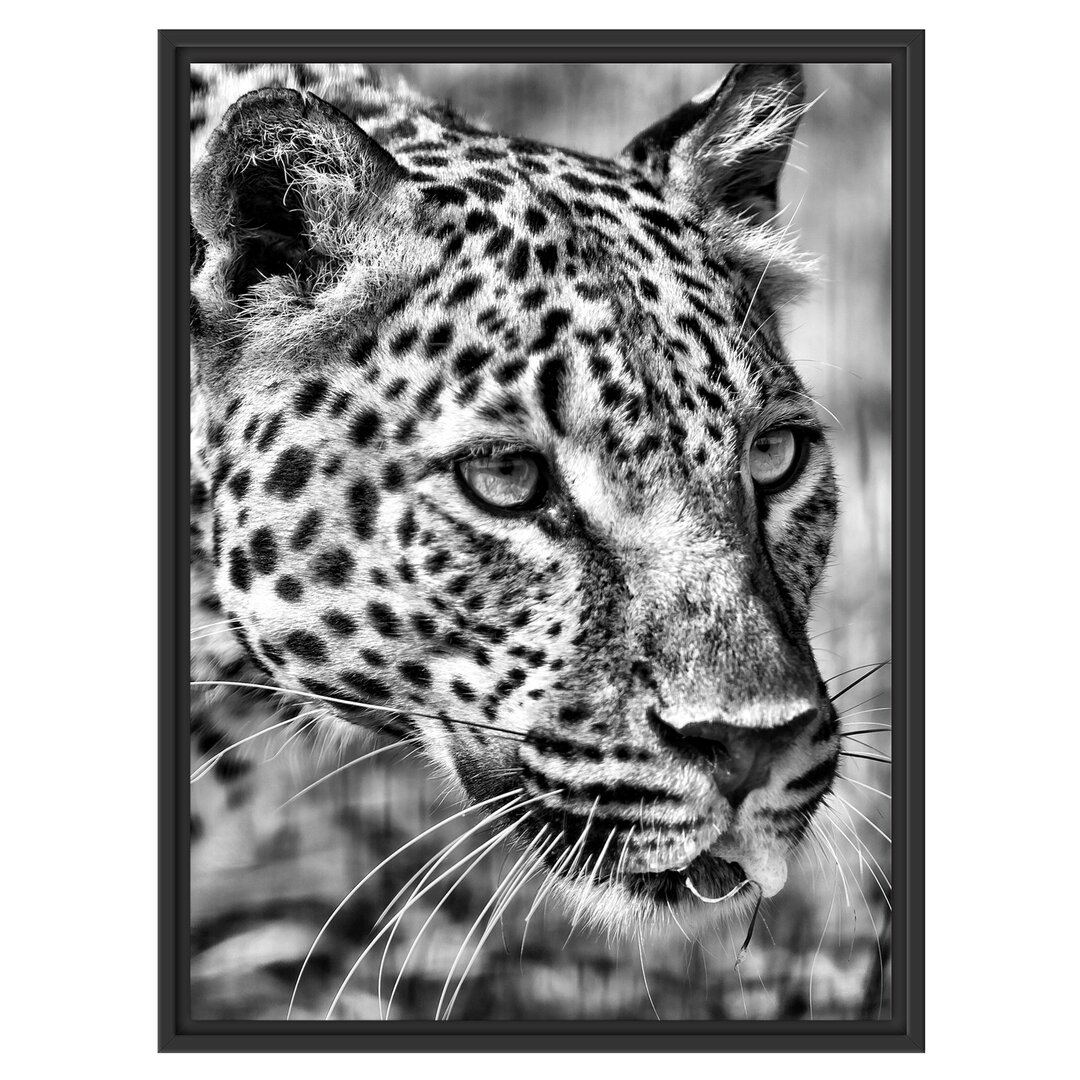 Gerahmtes Wandbild schleichender Leopard