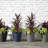 Madison Indoor/Outdoor Modern Round Planter-309931500-309931488