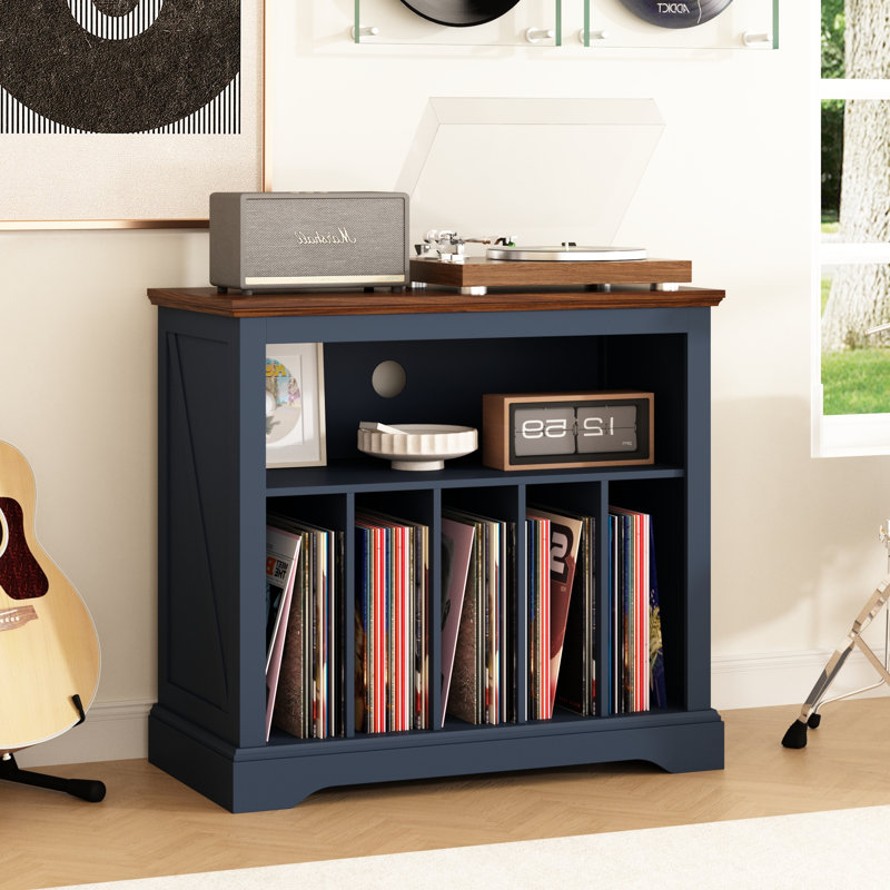 Support pour disque vinyle rustique, support pour disque vinyle jusqu'à 230 albums, Bleu