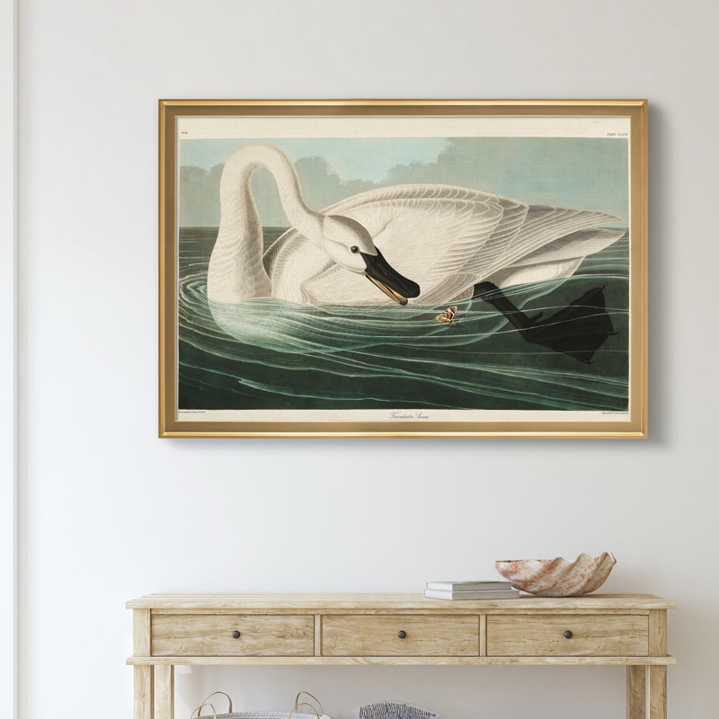 Trumpeter Swan - reproduction d'art sur toile, H 18,5 po x l 24,5 po x P 1,5 po, Doré