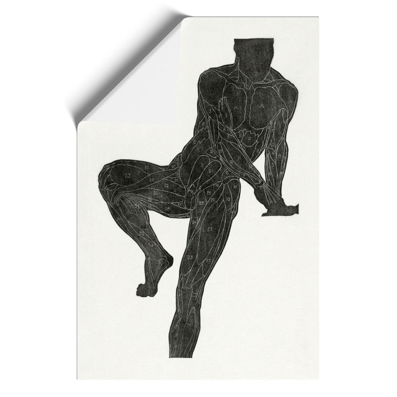 Anatomical Study of a Man by Reijer Stolk - Frameless Print, 84cm H x 59cm W x 0.1cm D