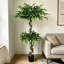 Ficus artificiel de 5,2 pi - mini arbre de banian avec tronc naturel pour décoration de bureau-1848913994