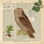 Lodge Collage I, impression sur toile tendue-18882637-74282899-74282900