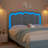 Daphne Upholstered LED Bed Frame With Drawer & Adjustable Headboard, Kids Beds-227418666-224701900