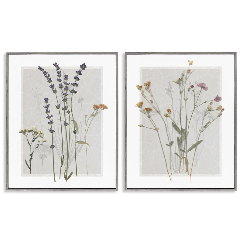 Delicate Wildflower Herb Sprigs 2 Piece Gray Framed Giclee Art Set by Carol Robinson, 20" H x 16" W x 1.5" D