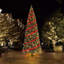 Home Heritage Albany Prelit LED Artificial Christmas Tree-54882404