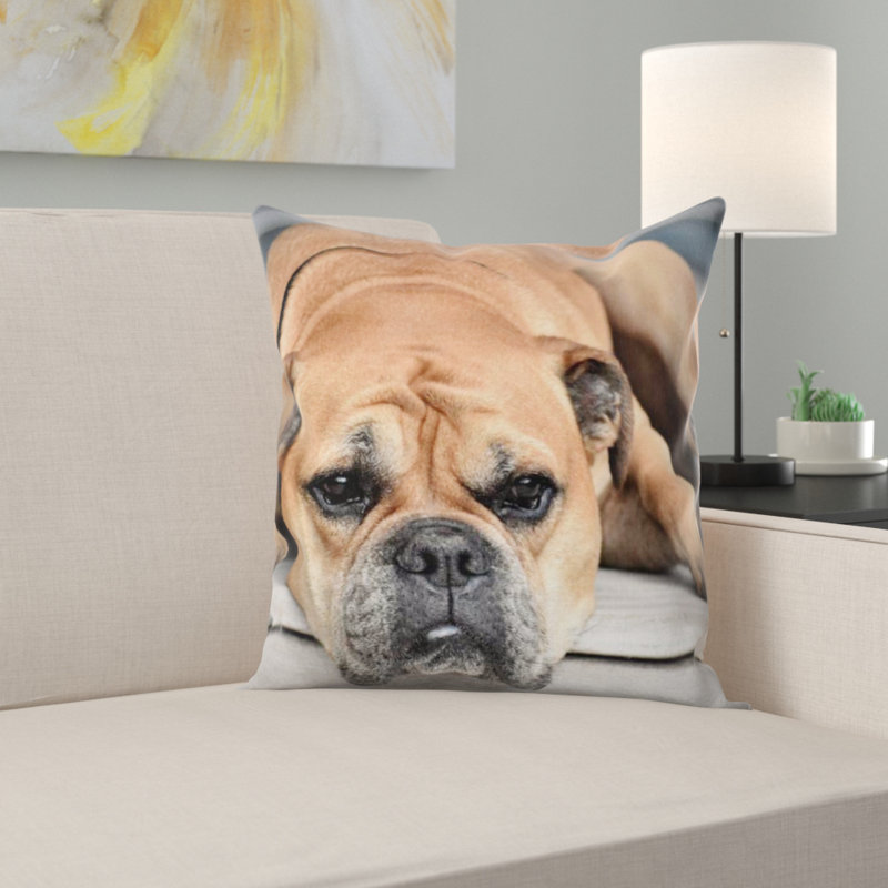 Coussin pour chien