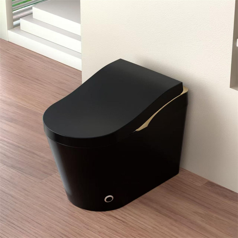 Toilette intelligente sans réservoir Yara avec bidet et chasse automatique Yara, Noir mat
