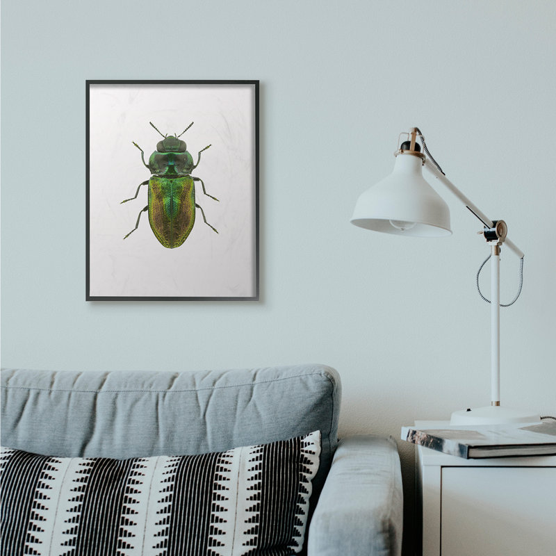 « coléoptère green yellow animal », impression, H 24 po x l 30 po x P 1,5 po, Giclée encadrée noir minuit