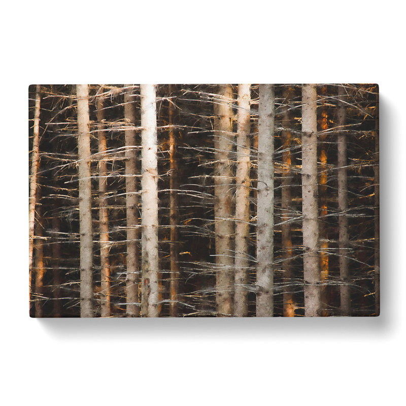 Bare Trees - Wrapped Canvas Print, 40cm H x 60cm W x 3cm D