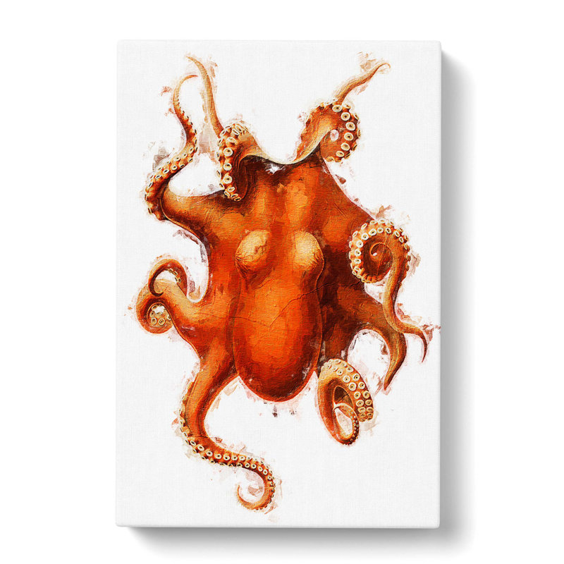 Octopus by Carl Chun - Wrapped Canvas, 50cm H x 35cm W x 3cm D