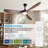 Ceiling Fan with LED Lights