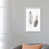 White Framed Canvas is unavailable