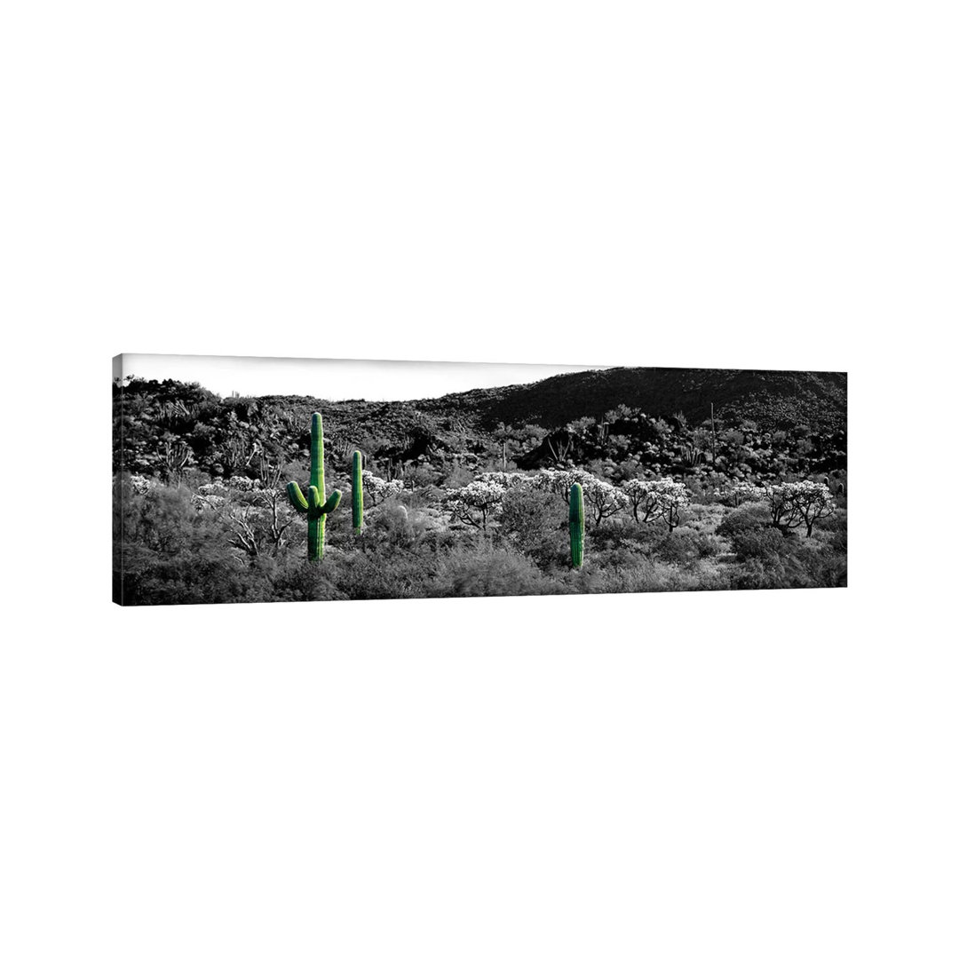 Panoramic Images by Panoramic Images - Wrapped Canvas Panoramic Gallery-Wrapped Canvas Giclée