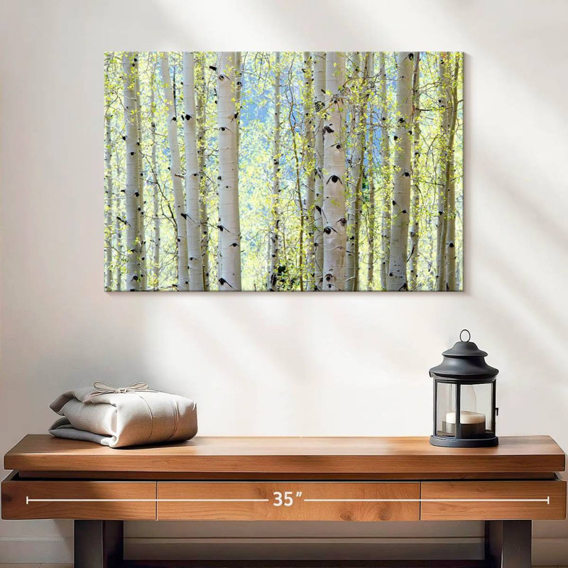 Harnek Aspens, H 16 po x l 24 po
