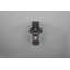 Evelore Outdoor Armed Sconce