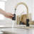 VIBRANTBATH Pull Out Kitchen Faucet-105373736