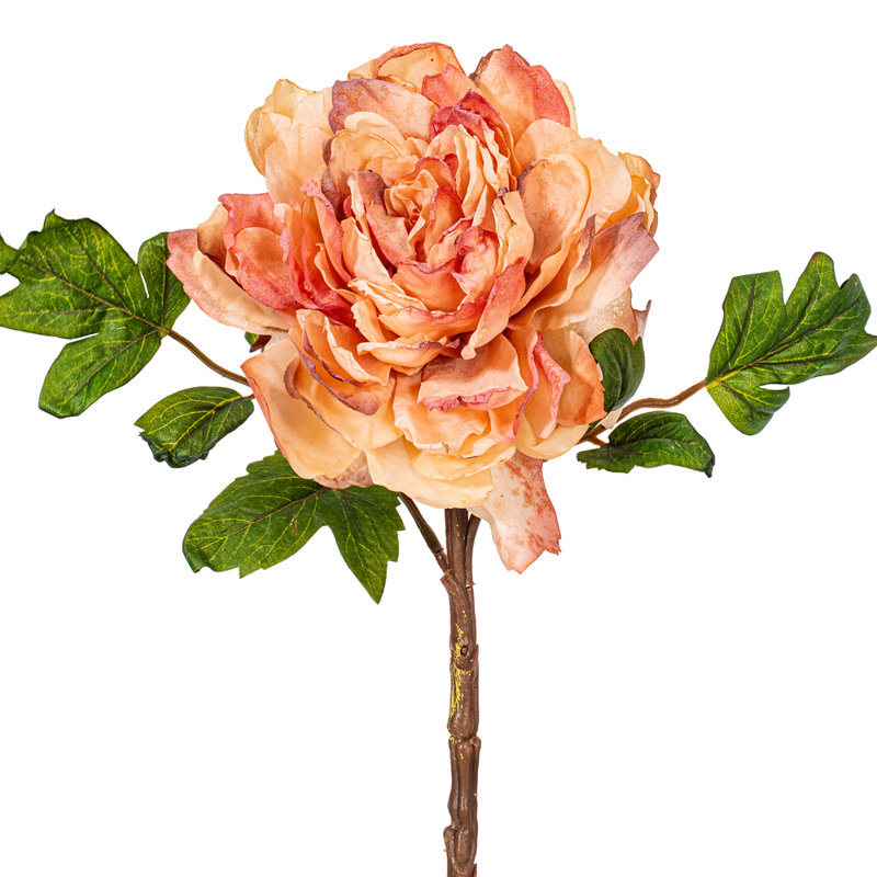 16.5 Peony Stem. Each bag contains three sprays., Brown
