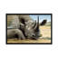 « black rhino » par impression sur toile Harro Maass-73858475-73858476-73858478