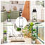 Camillia Plant Stand