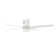 Poppe 52'' Ceiling Fan with LED Lights