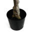Plastic, Silk Rose Arrangement in Pot