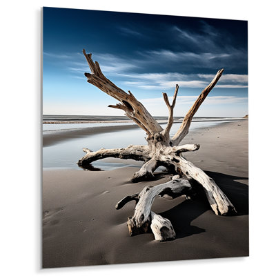 " Beach Driftwood Photo I "