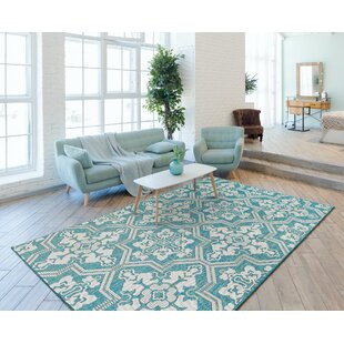 5' X 8' Blue Outdoor Rugs You'll Love 