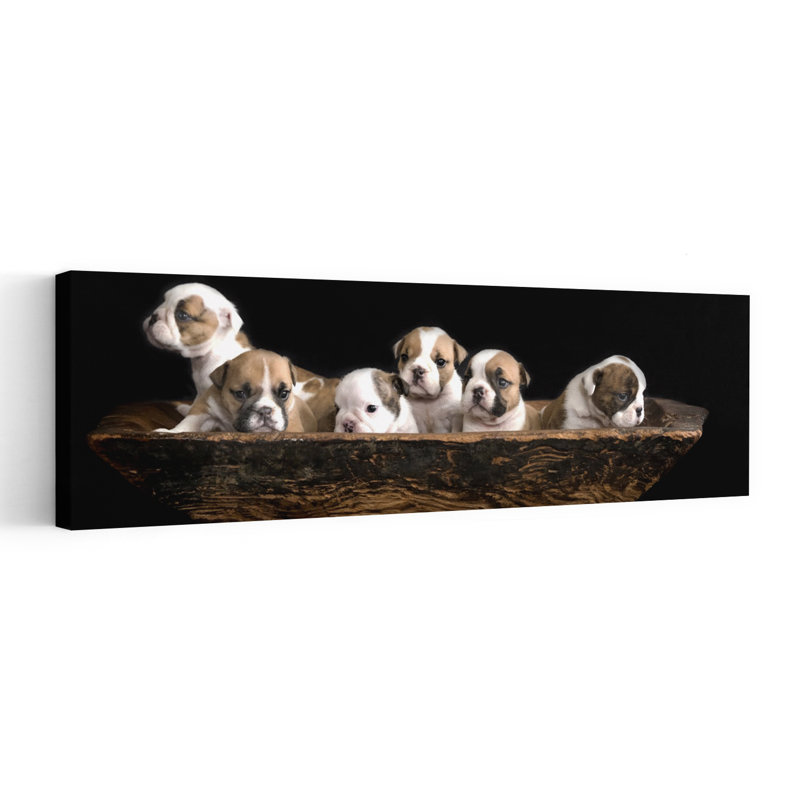 Cute Puppies In Bowl Contemporary Dog Wall Art, 121.92 cm H x 40.64 cm W