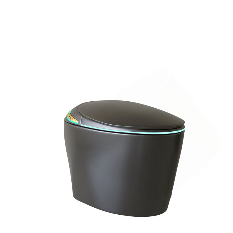 Unique Smart Toile,  One Piece Toilet with Bidet Built In,Auto Open/Close Seat, Foot Sensor, LED Display,Night Light, Warm Water & Dryer