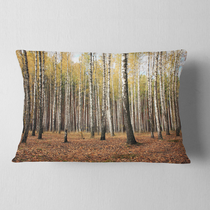 Magnifique photographie de forêt de bouleaux - coussin décoratif imprimé forêt, 12 po x 20 po, Rectangle