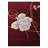 Howard Burgundy Rug